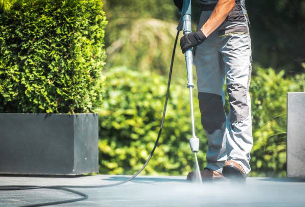 Best Dumpster Area Cleaning  in Ashville, AL